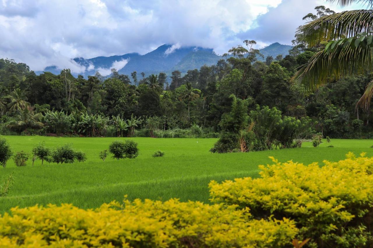 Ella Nature Valley Homestay Экстерьер фото