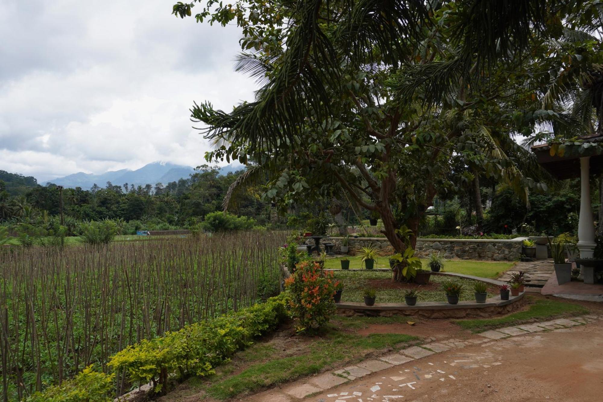 Ella Nature Valley Homestay Экстерьер фото