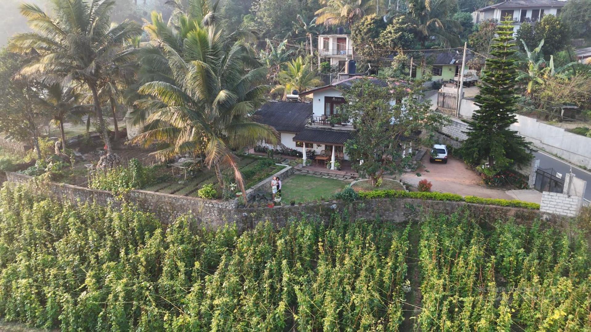 Ella Nature Valley Homestay Экстерьер фото