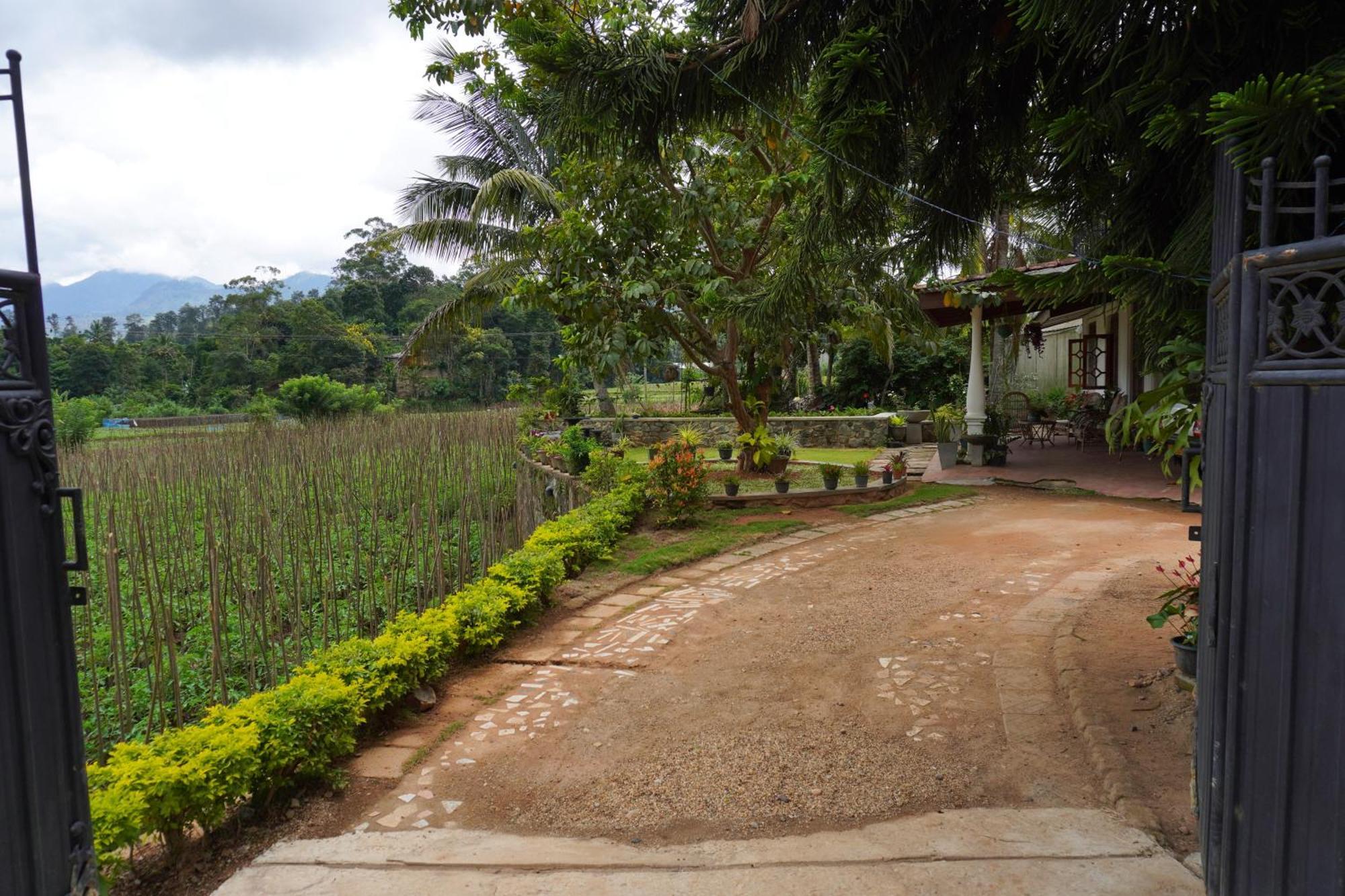 Ella Nature Valley Homestay Экстерьер фото
