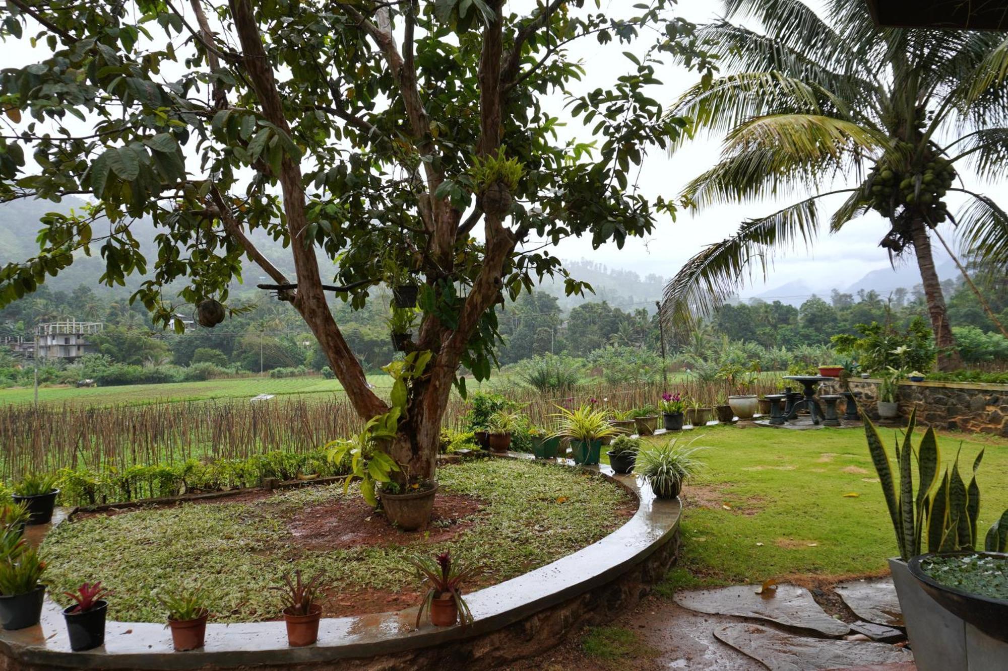 Ella Nature Valley Homestay Экстерьер фото