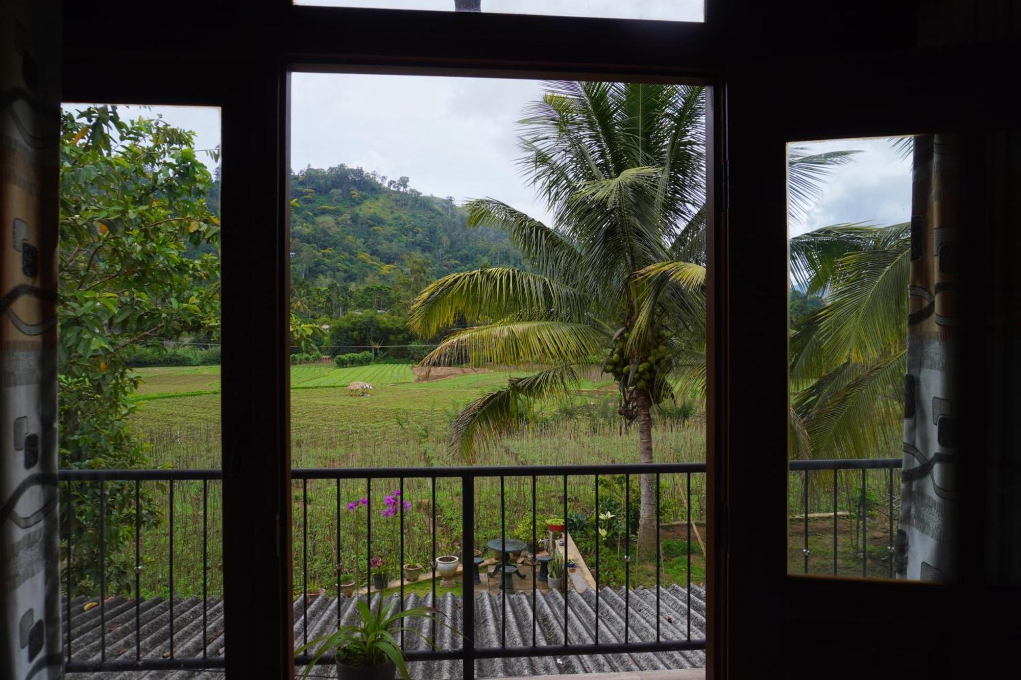 Ella Nature Valley Homestay Экстерьер фото