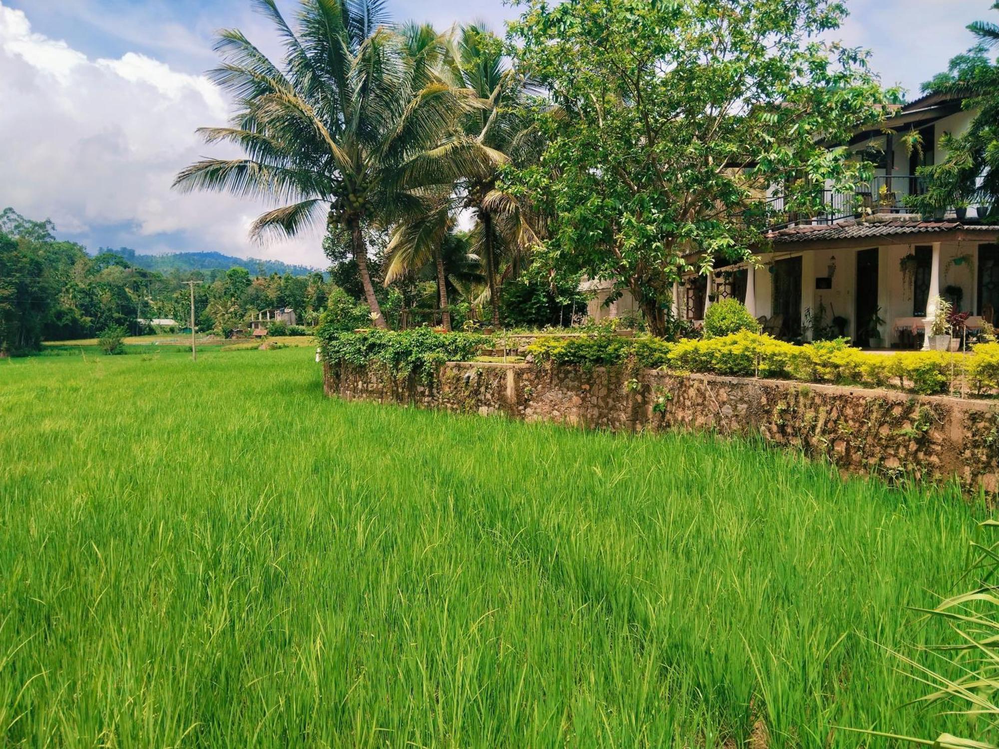 Ella Nature Valley Homestay Экстерьер фото