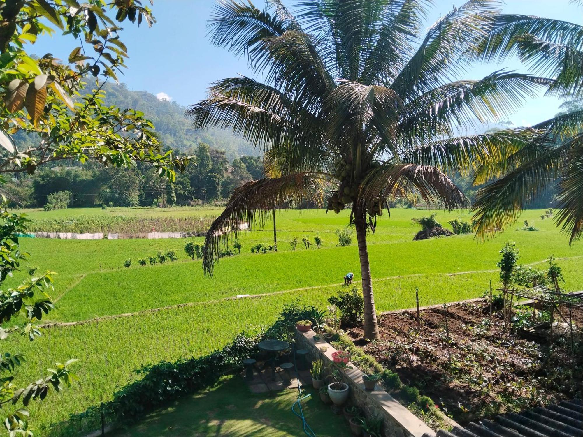 Ella Nature Valley Homestay Экстерьер фото