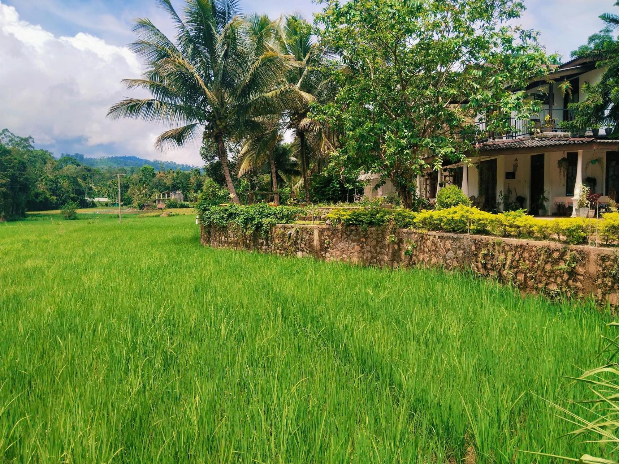 Ella Nature Valley Homestay Экстерьер фото
